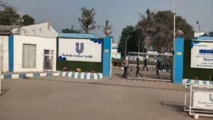 Patiala में Hindustan Unilever का ₹277 करोड़ का Investment – 1,092 युवाओं को मिलेगा रोजगार, Punjab में विकास की नई लहर