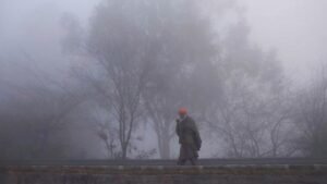 पंजाब में घने कोहरे और शीतलहर का ऑरेंज अलर्ट:चार जिलों में कोल्ड डे की संभावना, बठिंडा में सबसे कम 4.2 डिग्री तापमान